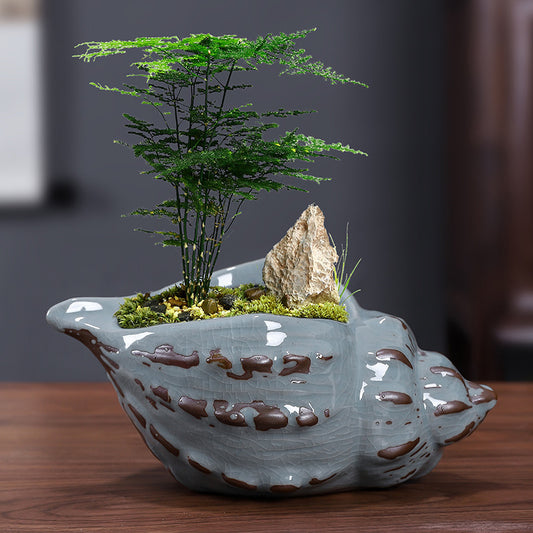 Ceramic Zisha Orchid Planting Bonsai Living Room Bonsai Basin