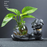 Glass Transparent Water Cultivation Green Dish Ware Flower Pot