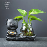 Glass Transparent Water Cultivation Green Dish Ware Flower Pot