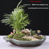 Ceramic Zisha Orchid Planting Bonsai Living Room Bonsai Basin