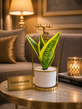 Luxury Large Leaf Ceramic Planter with Golden Deer Frame