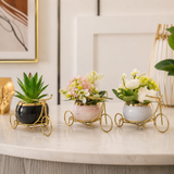 Tricycle Design Flower Pot